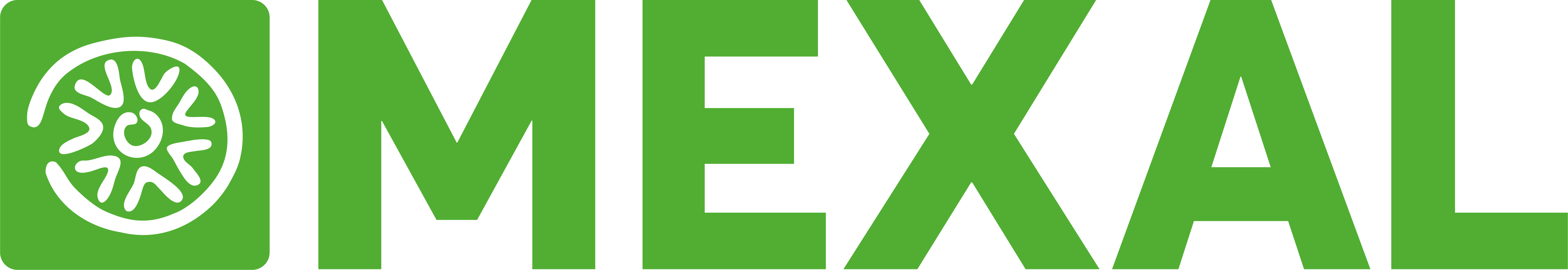 Mexal: modulo controllo di gestione